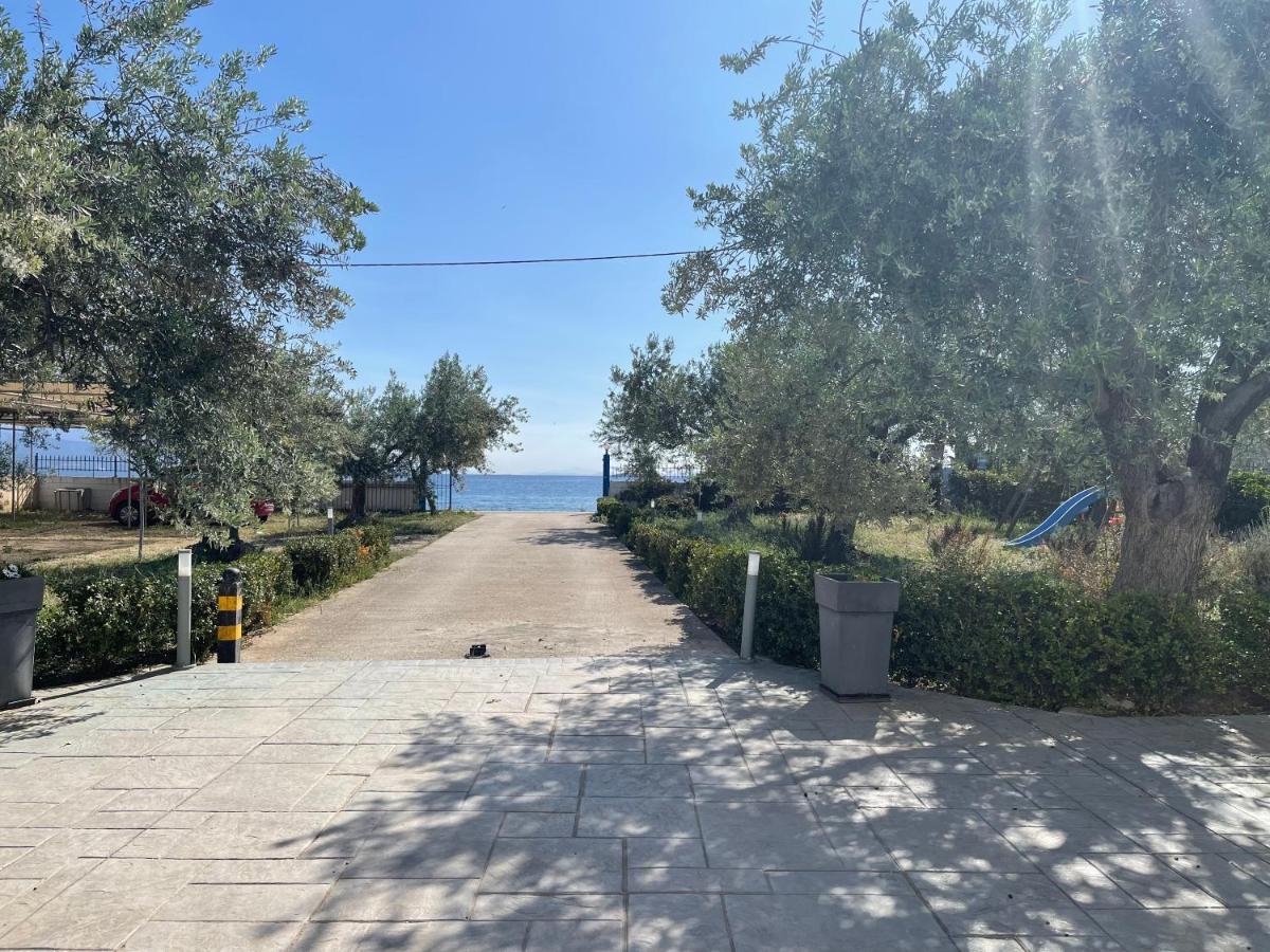 Amalfi Complex Apartman Kato Almiri Kültér fotó